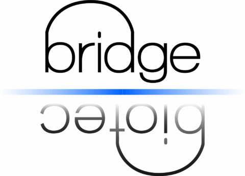 Bridge Biotec